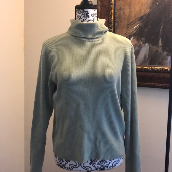 Euc xl Taylor Marcs sage turtleneck sweater - Picture 1 of 3